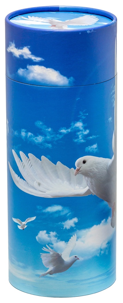 Dove Large Scattering Tube