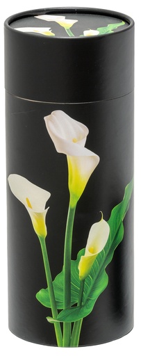 [301 LLY] Lily Large Scattering Tube